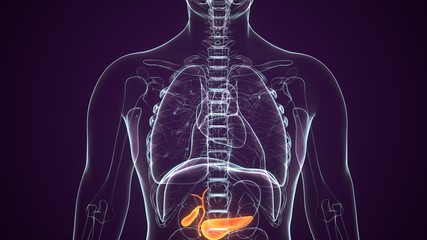 07cbc050e1875109864d4a0df6757fef_1766615