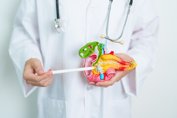 a7c4f8abd41cc4a79829343335741218_1764544